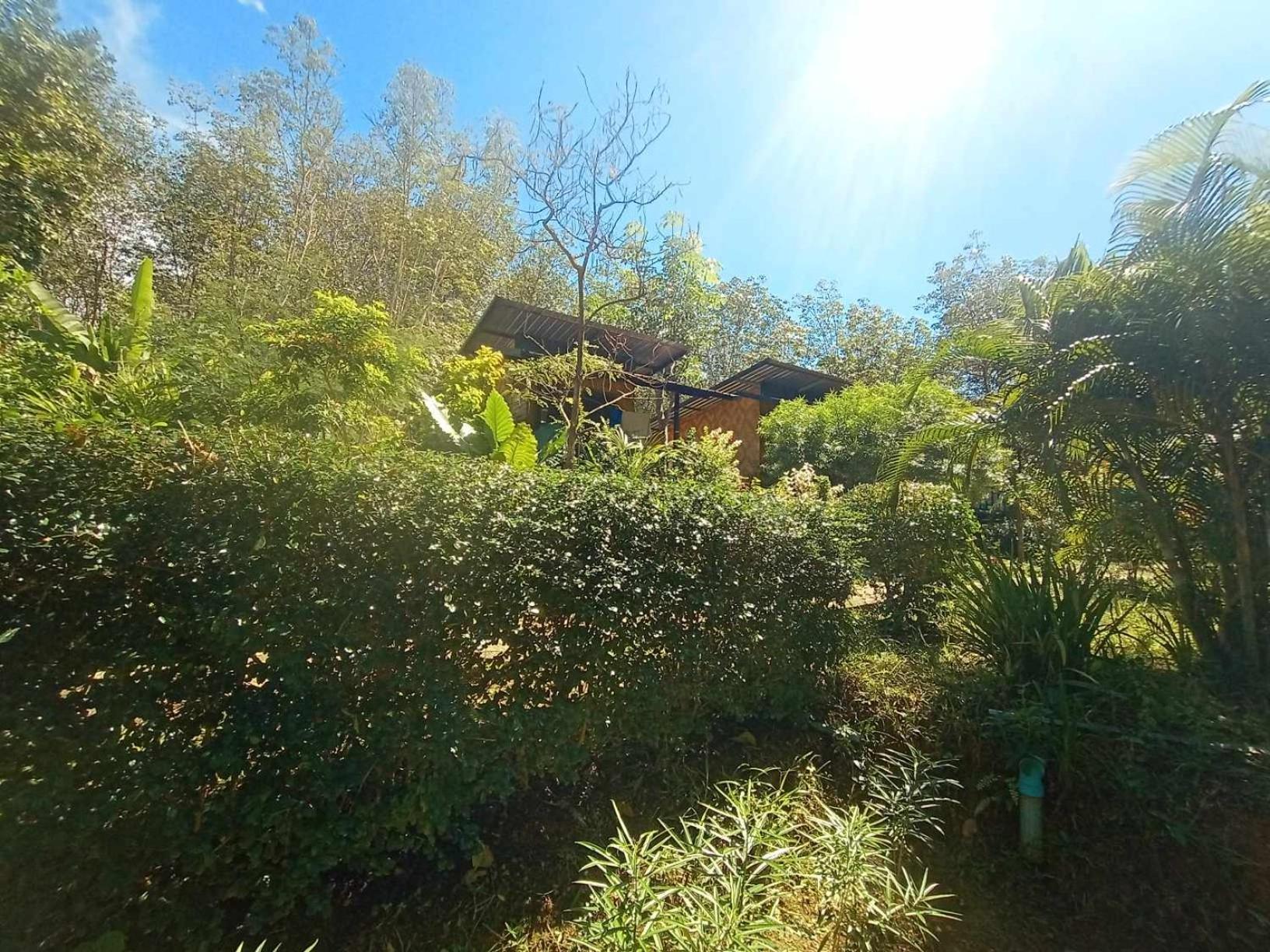 Koh Mook Bamboo Bungalows Extérieur photo