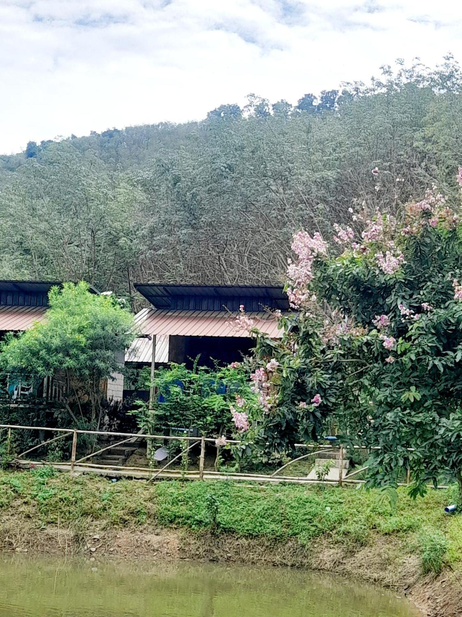 Koh Mook Bamboo Bungalows Extérieur photo